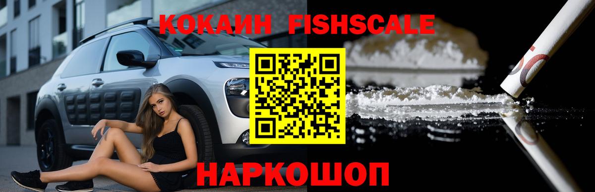 Cocaine FishScale  Вход с VPN  Cocaine FishScale  Жигулёвск 
