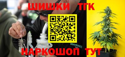 прущие крисы Гай