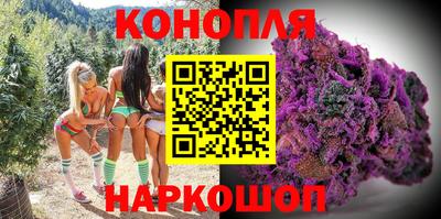 spice Гатчина