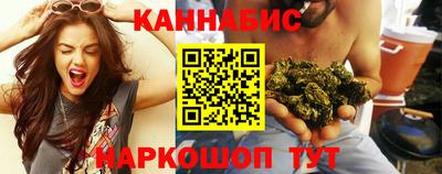 прущие крисы Гай
