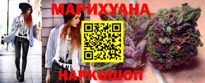 spice Гатчина