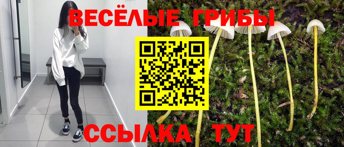 Галлюциногенные грибы MAGIC MUSHROOMS Жигулёвск