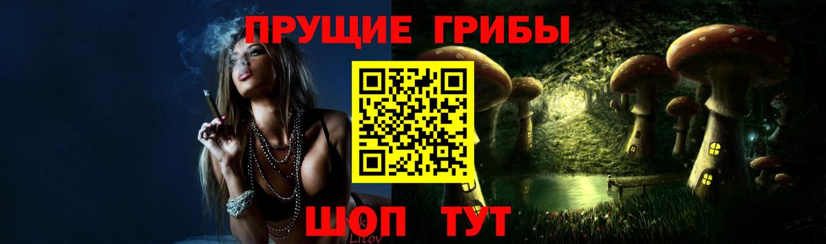 Псилоцибиновые грибы Psilocybe  Вход с VPN  Жигулёвск 